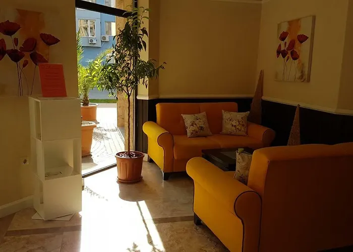 Aphrodite Rose 阳光海滩