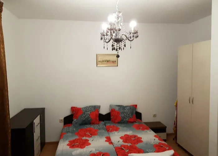 Aphrodite Rose 阳光海滩